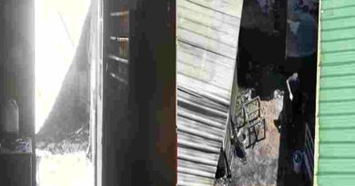 El drama de una pareja de rescatistas que perdió 14 animales a causa de un incendio por pirotecnia: “Perdí lo que más amaba”