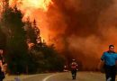 Chile: Ascienden al menos a 19 las personas muertas por los incendios en el país