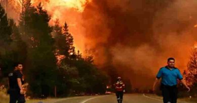 Chile: Ascienden al menos a 19 las personas muertas por los incendios en el país