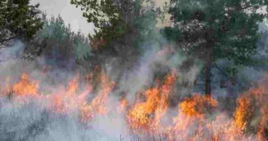 El Ministerio de Seguridad dijo que identificiará y juzgara a los responsables de los incendios en Chubut