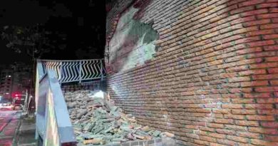 México: Confirmaron dos muertos y 12 heridos por un fuerte sismo en el estado de Guerrero