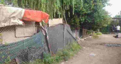 Nuevo crimen en zona sur: Asesinaron a una mujer a plena luz del día