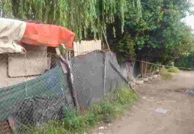 Nuevo crimen en zona sur: Asesinaron a una mujer a plena luz del día