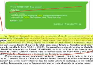 Caso ANDIS: Sebastián Nuner Uner, el “Helvético” que vinculan con Kovalivker y Menem