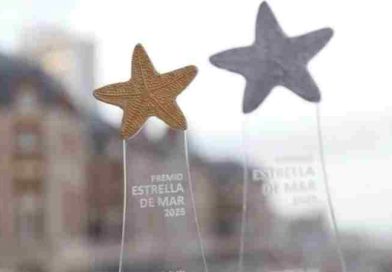 Premios Estrella de Mar 2026: Nominados y  categorías