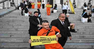 Ley de Glaciares: Activistas saltaron la reja del Congreso y hay detenidos