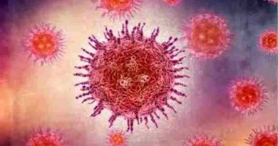 Virus Nipah: ¿Qué es y cómo se transmite?