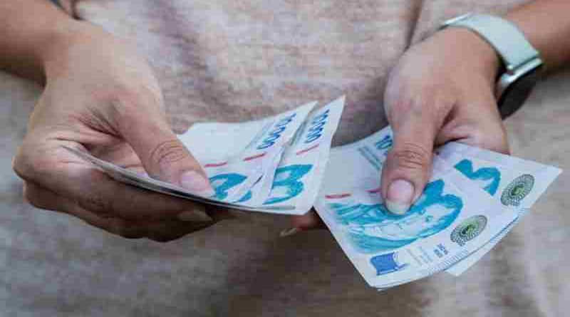 Un informe advierte que las jubilaciones de Anses deberían ser un 21% más altas: pérdida acumulada $2,4 millones