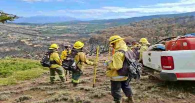 Brigadistas de Santa Fe en Chubut realizan ataque directo al fuego, cortafuegos y contención de focos