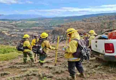 Brigadistas de Santa Fe en Chubut realizan ataque directo al fuego, cortafuegos y contención de focos
