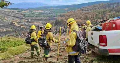Regresaron a Santa Fe los brigadistas que fueron a colaborar en el control de incendios forestales en Chubut