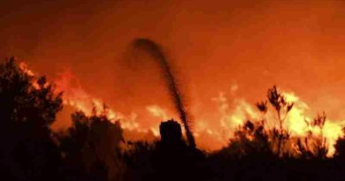 500 bomberos luchan contra el fuego en el Parque Los Alerces y Puerto Patriada