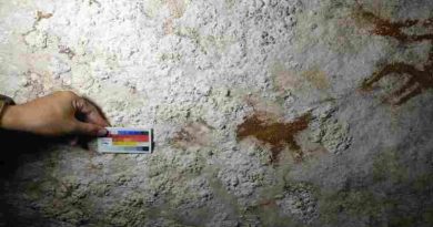 Un hallazgo en Indonesia reescribe el origen del arte humano moderno