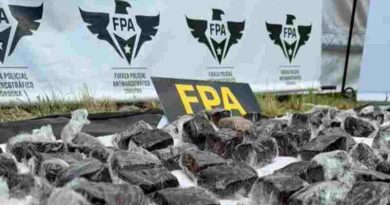 Incautaron más de seis kilos de brownies de marihuana en Cosquín Rock