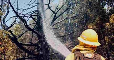 Intenso trabajo de brigadistas santafesinos en la cooperación interjurisdiccional para controlar el fuego en Chubut