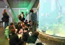 El Acuario del Río Paraná abre la convocatoria 2026 para visitas educativas