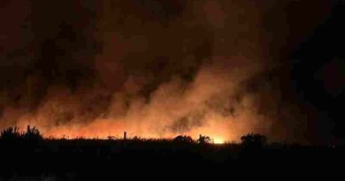 Incendio forestal en Mar del Plata, más de 200 hectáreas arrasadas