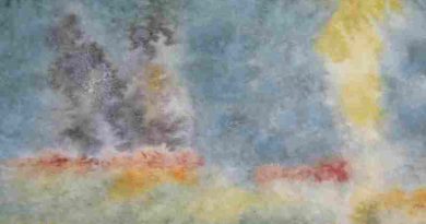 El Museo Estévez inaugura tres exposiciones sobre arte y naturaleza