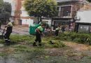 Tormenta sobre Rosario: se registraron ráfagas de hasta 83 km/h y más de 40 mm de lluvia