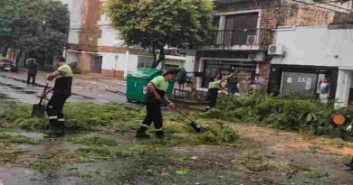 Tormenta sobre Rosario: se registraron ráfagas de hasta 83 km/h y más de 40 mm de lluvia