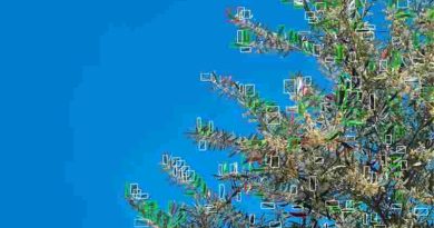 Inteligencia artificial: un científico argentino diseñó un robot único para controlar plagas