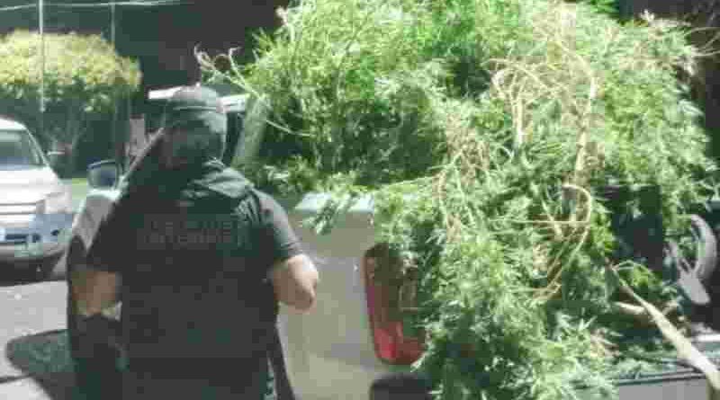 Múltiples allanamientos, detenidos, secuestro de armas y estupefacientes en Empalme Villa Constitución