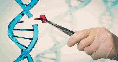 Del genoma humano a la medicina de precisión: el ADN ya redefine el diagnóstico y tratamiento de enfermedades