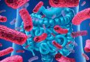 Nueva combinación de medicamentos abre una esperanza para el tratamiento de infecciones intrahospitalarias