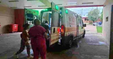 Horror en Misiones: un nene de 7 años fue atacado por siete perros mientras jugaba en su casa