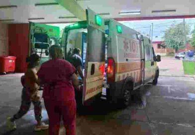 Horror en Misiones: un nene de 7 años fue atacado por siete perros mientras jugaba en su casa