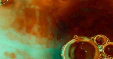 La donación de placenta creció 40% en Córdoba y marca un récord