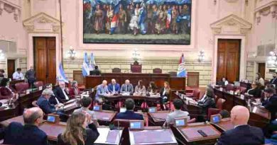 Puccini detalló a legisladores las gestiones por la concesión de la hidrovía, puso foco en Rosario y adelantó el nuevo Puerto de Villa Ocampo