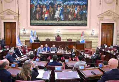 Puccini detalló a legisladores las gestiones por la concesión de la hidrovía, puso foco en Rosario y adelantó el nuevo Puerto de Villa Ocampo