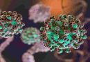 Hantavirus: el total de casos en Argentina asciende a 102