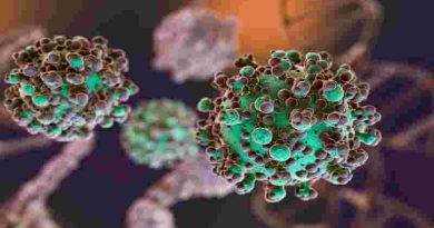 Hantavirus: se notificaron nuevos casos y la totalidad de los mismos asciende a 47