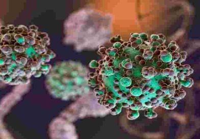 Hantavirus: se notificaron 112 casos confirmados