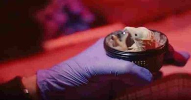 Avance científico: nacieron los primeros pollitos de huevos artificiales impresos en 3D