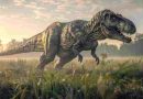 Revelan por qué el Tiranosaurio rex tenía los brazos tan pequeños