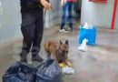 Controles en las cárceles: detectaron marihuana y cocaína ocultas entre pertenencias de visitantes al penal de Las Flores