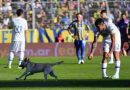 La figura de la cancha: Un perro invadió la cancha en Central y Tigre y se llevó una ovación, al gambetearse a todos