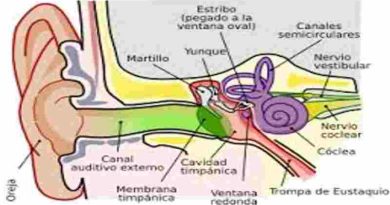 Médicos chinos realizan con éxito una cirugía de reparación del tímpano en Níger