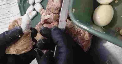 Santa Fe: Detenida en la cárcel de Las Flores al intentar ingresar cocaína oculta en bifes