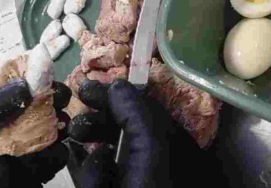 Santa Fe: Detenida en la cárcel de Las Flores al intentar ingresar cocaína oculta en bifes