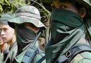 Colombia: El ejército abatió a siete miembros de la guerrilla del ELN