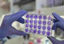 Argentinos hallan que dengue, Zika y fiebre amarilla se replican del mismo modo: se viene un antiviral