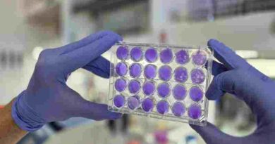 Argentinos hallan que dengue, Zika y fiebre amarilla se replican del mismo modo: se viene un antiviral