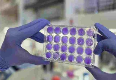 Argentinos hallan que dengue, Zika y fiebre amarilla se replican del mismo modo: se viene un antiviral