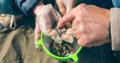 Científicos desarrollaron un método de bajo costo para extraer microplásticos del suelo