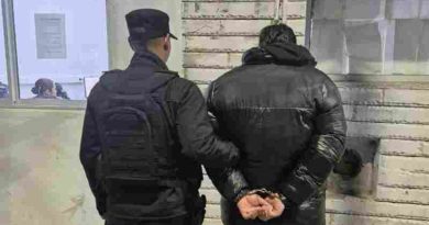 El sistema Lince permitió la aprehensión de un hombre y el secuestro de un arma de fuego en Rosario