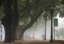 Clima de finde en la ciudad: Rosario tendrá dias frescos, estables y con neblinas